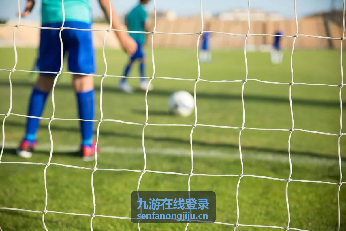 九游在线登录密码找回操作片段